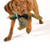 ALL FOR PAWS Classic Dog Pheasant Toys, Squeaky Dog Toys
