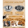 Elevated Dog Bowls, Dog Feeder with 2 Stainless Steel Dishes
