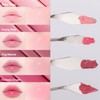SON&PARK Glow Layring Lip & Cheek Palette 4g, Shade:02 Cool