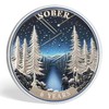 6 Year Sobriety Coin Gifts | Forest Wanderer AA Chip