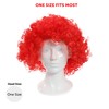 Red Afro Wig - Fancy Dress Accessory - Funky Large