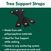 Eaton Brothers Tree Stake Kit – Complete Young Tree Support