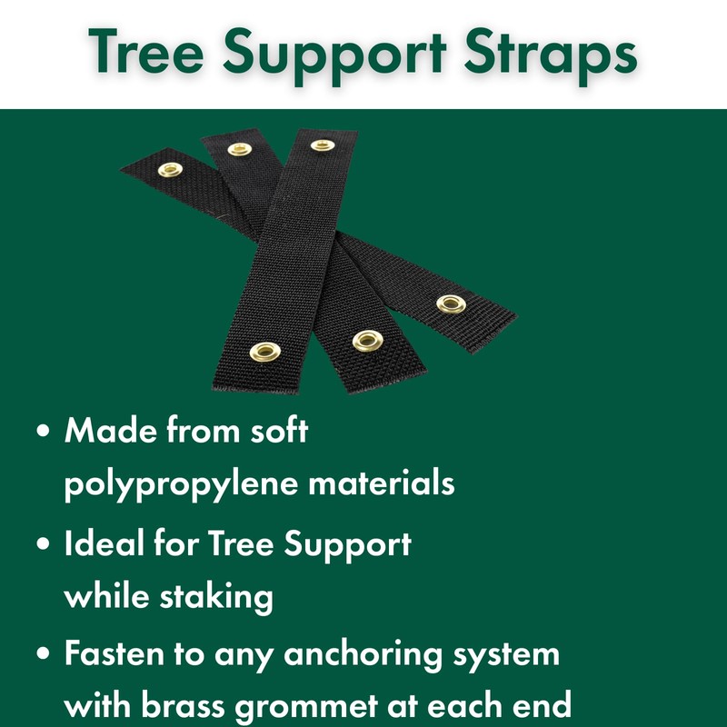Eaton Brothers Tree Stake Kit – Complete Young Tree Support