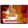 Antelope Canyon Fridge Magnet Arizona Travel Souvenir