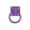 Perry Equestrian No.550 Swivel Tie Ring on Plate 50mm x
