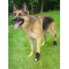 Westcoast Thera-Paw Padded - Size TF, Supportive & Protective Boot