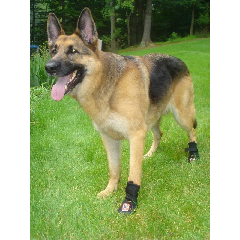 Westcoast Thera-Paw Padded - Size TF, Supportive & Protective Boot