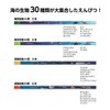 Kutsuwa 2B PA026 Pencil Marine Pencil
