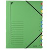 Leitz 39120055 Ordnungsmappe, 12 Fächer, Colorspankarton, grün