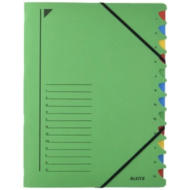 Leitz 39120055 Ordnungsmappe, 12 Fächer, Colorspankarton, grün