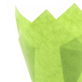 Green Tulip Baking Cups, Medium Size, Pack of 265