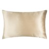 MOONLIGHT Silk 100% Silk Pillowcase 50 x 75 cm -