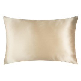 MOONLIGHT Silk 100% Silk Pillowcase 50 x 75 cm - 22 Momme Shiny Mulberry Silk Grade 6A Certified by Oeko-Tex, Hydrated and Wrinkle Free Skin (Champagne)