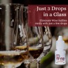 Just the Wine Sulfite Remover Drops (5-Bottle Pack) Just 3