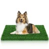 GLOBREEN Dogs Grass Pee Pad for Puppy Potty Training, Pet