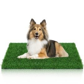 GLOBREEN Dogs Grass Pee Pad for Puppy Potty Training, Pet Friendly Artificial Grass Turf Mat Outdoor Indoor Use, High Drainage, 39.3" x 31.5"