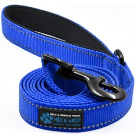 Max and Neo Small Dog Reflective Nylon Dog Leash - We Donate a Leash to a Dog Rescue for Every Leash Sold (Blue, 4x5/8)