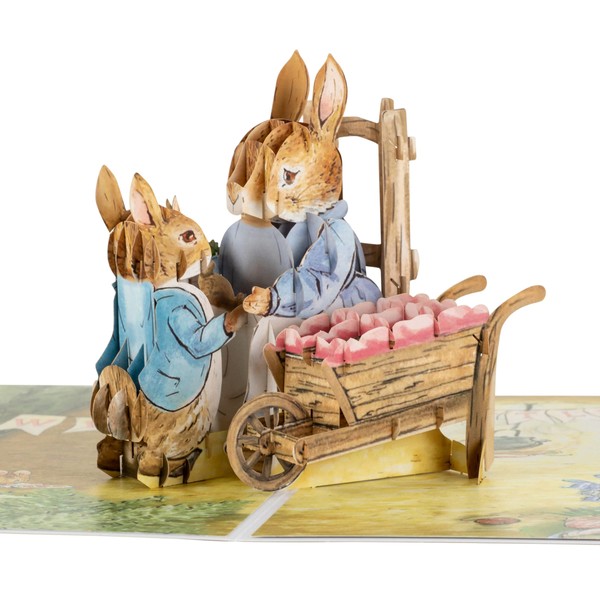 Cardology - Peter Rabbit New Baby Girl Pop Up Card | Welcome Baby Girl Card, Newborn Keepsake Gifts | Officially Licensed