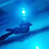 SHENKENUO For Tahoe 2007-2014 - 6X 8000K LED Headlights Fog