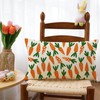Ogiselestyle Easter Carrot Throw Pillow Cover, 12 x 20 Inch