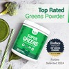 Nested Naturals Super Greens Daily Superfood Powder - Certified USDA