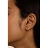 Ted Baker Sinee Mini Crystal Stud Earrings For Women (Rose