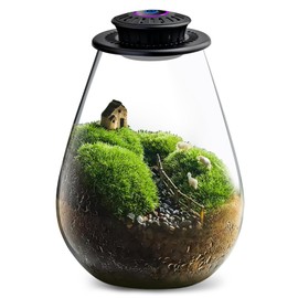 Xyingshine Glass Plant Terrarium with UFO LED Light, Large Terrarium for Venus Fly Trap Live Plant with LED Light & Ventilation, for Plants Ideal for Succulents,Home Office Desk Decor, 7.8" Tall