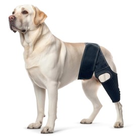 Eledume Dog Knee Brace, Dog Leg Brace with 10 Stabilizers, Adjustable Dog Knee Brace for Torn Acl Hind Leg, Joint Pain, Kneecap Dislocation, Cruciate Ligament Injury and Muscle Sore, L