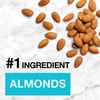 KIND Nut Bars, Almond & Coconut, Healthy Snack Bars, Gluten