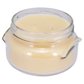 Tyler Candle - Limelight Scented Candle - 11 Ounce 2 Wick Candle (11oz)