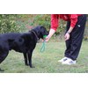 Activity4Dogs Dog Toy for Large Dogs, Ball with Loop, Set