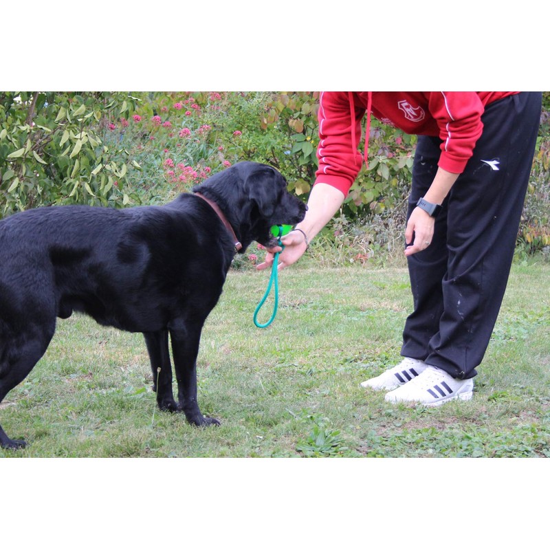 Activity4Dogs Dog Toy for Large Dogs, Ball with Loop, Set