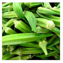 100 Emerald Okra Seeds for Planting Non GMO Heirloom Seeds Instant Latch Fresh Garden Seed