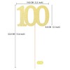 Gexolenu NO 100, 10 Pack Double-Sided Gold Glitter 100th Birthday
