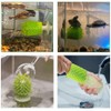 1Pcs Turtle Brush, Turtle Scrub Brush,Turtle Exfoliate Brush withTank Suction