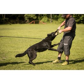 Dog Bite Tug Toy 12 x 3.2 Inches - Durable Pull Toy with 2 Soft & Strong Handles - Tough Jute Bite Pillow for Medium to Large Dogs - Ideal for Tug of War, Fetch, K9, Puppy Training & Interactive Play