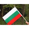 Ckexin 25Pack Small Bulgaria Flag Handheld Mini Bulgarian Flags on