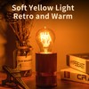 runquiz Warm Incandescent Light Bulbs 60 Watt,A19/A60 Vintage Style Edison