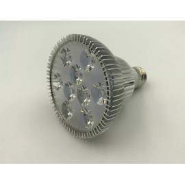 CHASE LIGHTING LED PAR30 120V 12W = 110W, Amber Color Non-Dimmable E26 Medium Base Light Bulb