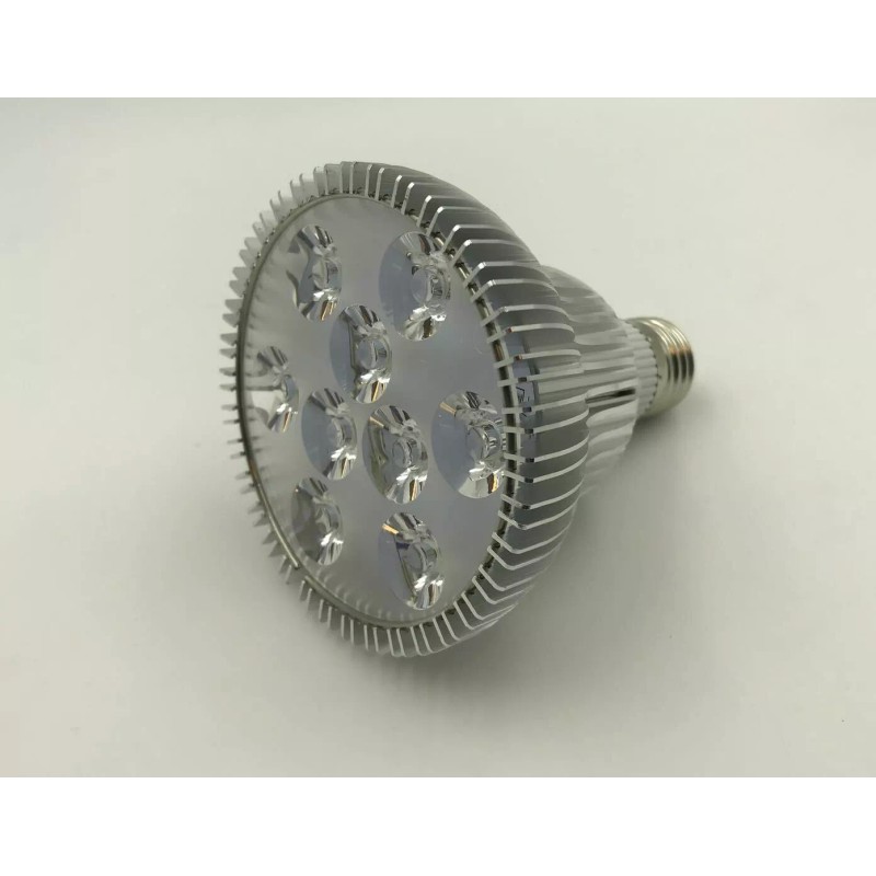 CHASE LIGHTING LED PAR30 120V 12W = 110W, Amber Color