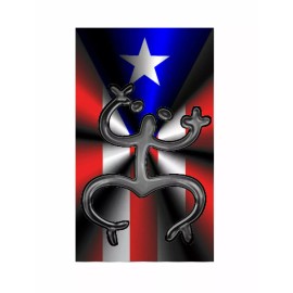 carod PUERTO RICO FLAG, PR STICKER-DECAL, BANDERA PUERTO RICO, COQUI BORICUA