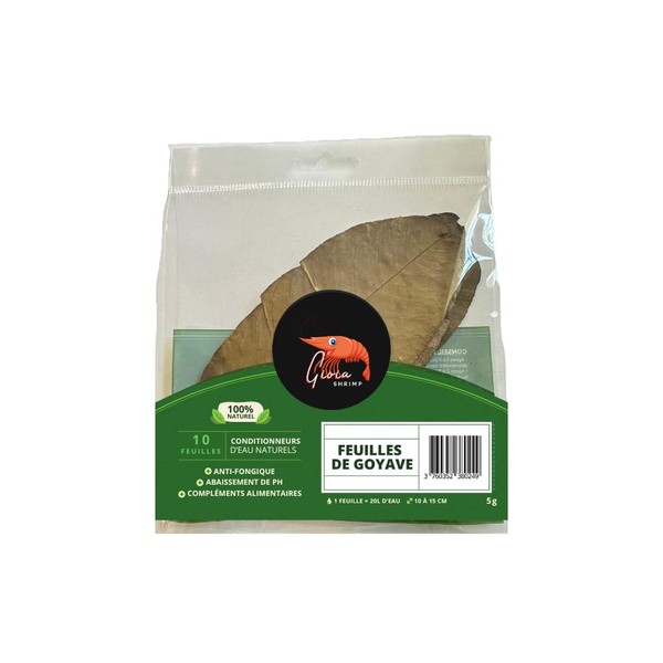 Gioia SHRIMP 10 x Guava Leaf / Natural Water Conditioner