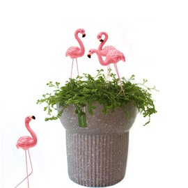 Flamingo Yard Statue, Resin Material 4 Pcs Cute Flamingo Gifts Fine Details for Patio