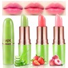 Bálsamo Labial con Brillo y Color Aloe Vera Lip Balm