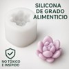 PUBAMALL Paquete de 9 moldes de silicona para suculentas, Para