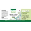 Fairvital | Lactase Tablets - Vegetarian - 4500 FCC per