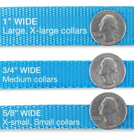 The Artful Canine Scottish Plaid Dog Collar, Royal Stewart Tartan, Medium Dogs, 22-35 lbs (Collar: 3/4" Wide, 10-16" Long)