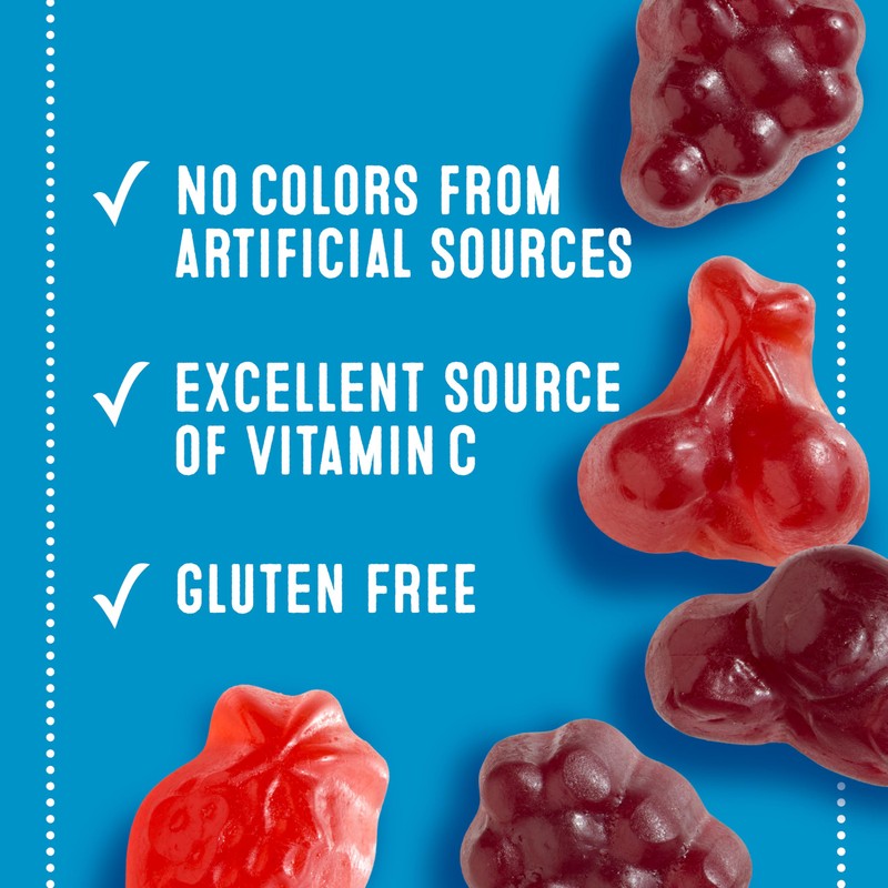 Mott's Fruit Flavored Snacks, Berry, Gluten Free Snack, Family Pack,