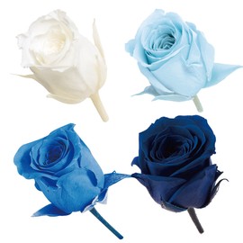 Earth Farms Preserved bibian・kara-aso-to (24 Pack) do002374 – 660