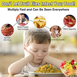 Fruit Fly Trap for Indoors, Effective Fruit Fly Catcher Gnat Killer with Sticker, Gnat Traps for House Indoor with Bait, Non-Toxic Reusable Easy to Use Fly Trap for Kitchen Home - 2 Pack, Clear Yellow